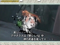 Okami : plus d'images