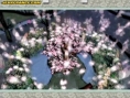 Okami : plus d'images