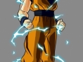 Budokai Tenkaichi : plus d'images