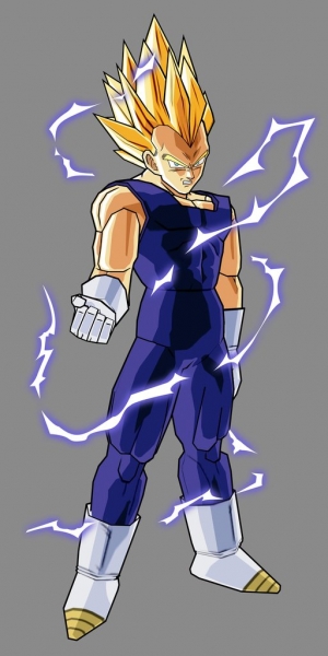 Budokai Tenkaichi : plus d'images