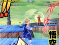 DBZ : Budokai Tenkaichi en images