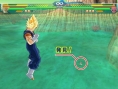 Dragon Ball Z : Budokai Tenkaichi