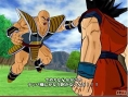 DBZ: Budokai Tenkaichi au combat