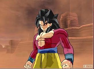 DBZ: Budokai Tenkaichi au combat