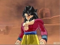 DBZ: Budokai Tenkaichi au combat
