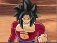 DBZ: Budokai Tenkaichi au combat