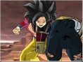 DBZ: Budokai Tenkaichi au combat