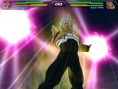 DBZ Budokai Tenkaichi en images