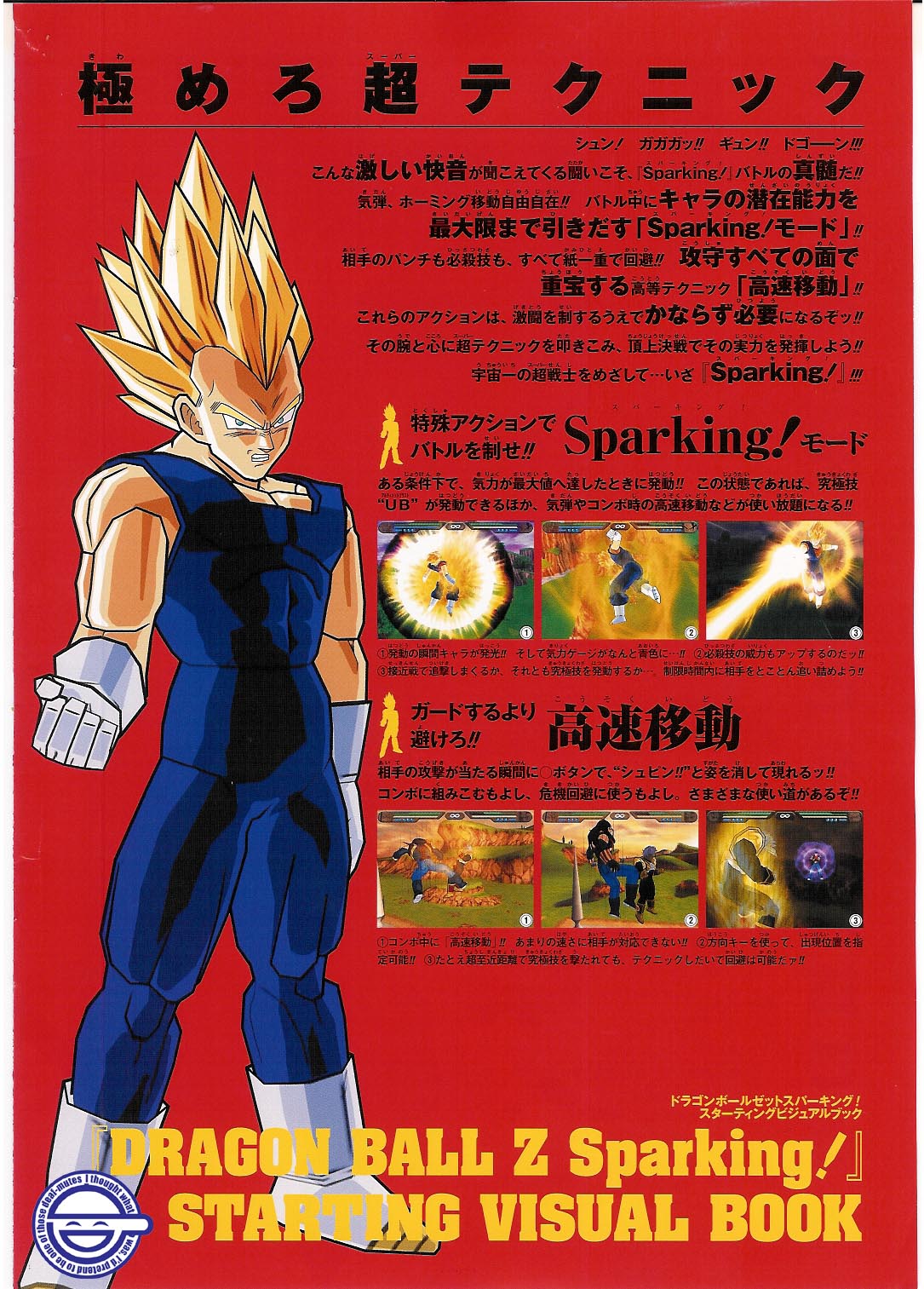 DBZ: Budokai Tenkaichi s'affronte