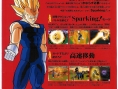DBZ: Budokai Tenkaichi s'affronte