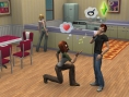 Une image pour les Sims 2