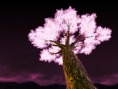 Onimusha : Dawn of Dreams en images
