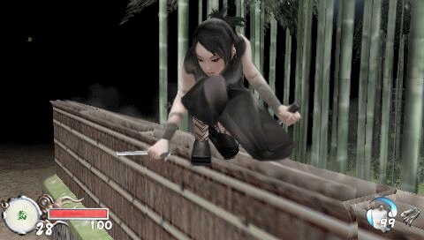 Tenchu Shinobi Taizen en images