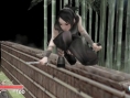 Tenchu Shinobi Taizen en images