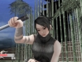 Tenchu Shinobi Taizen en images