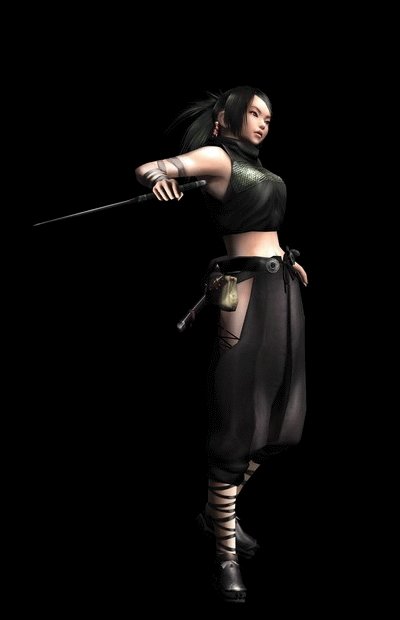 Tenchu Shinobi Taizen en images