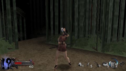 Tenchu en approche sur PSP
