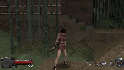 Tenchu en approche sur PSP
