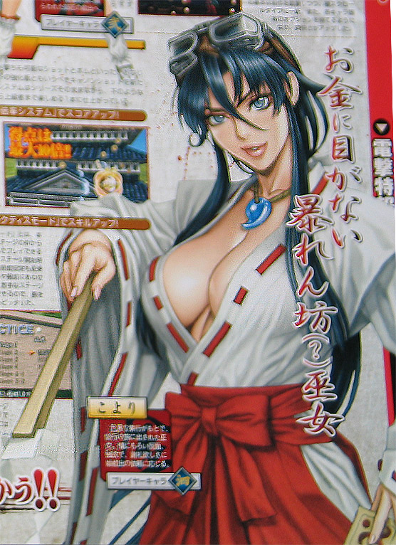 Sengoku Cannon sur PSP en images