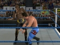 WWE Day of Reckoning 2 en images