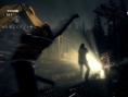 Alan Wake: new images