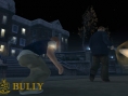 Bully fait le ménage
