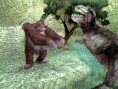 King Kong arrive sur Nintendo DS