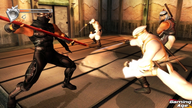 Ninja Gaiden Black en images
