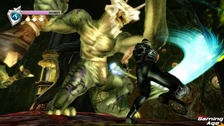 Ninja Gaiden Black en images