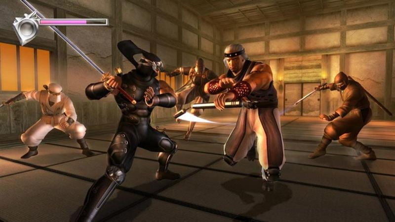 Ninja Gaiden Black découpe