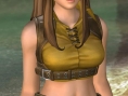 Dead or Alive 4 en approche