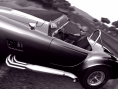 Test Drive Unlimited en Cobra