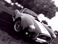 Test Drive Unlimited en Cobra