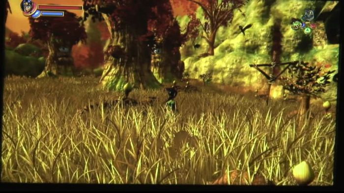Kameo revient en images