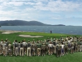 Tiger Woods PGA Tour 2006 en images