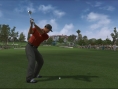 Tiger Woods swingue sur le green