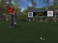 Tiger Woods swingue sur le green