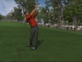 Tiger Woods swingue sur le green