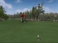 Tiger Woods swingue sur le green