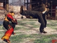 Tekken 6 : une salve d'images