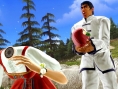 Tekken 6: new images