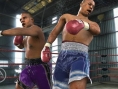 Fight Night 3 : 1 image dévoilée