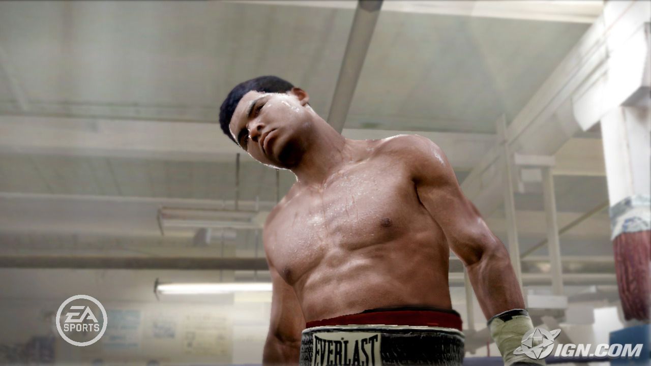 Fight Night Round 3 se précise