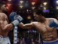 Fight Night Round 3 fait son show