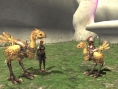 Final Fantasy XI arrive sur Xbox 360