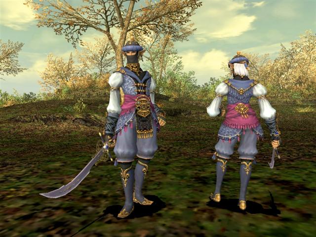 Final Fantasy XI fête sa sortie