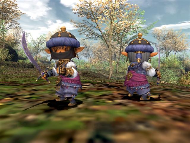 Final Fantasy XI fête sa sortie
