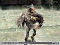 Final Fantasy XI fête sa sortie