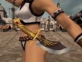 Final Fantasy XI fête sa sortie