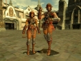 Final Fantasy XI fête sa sortie